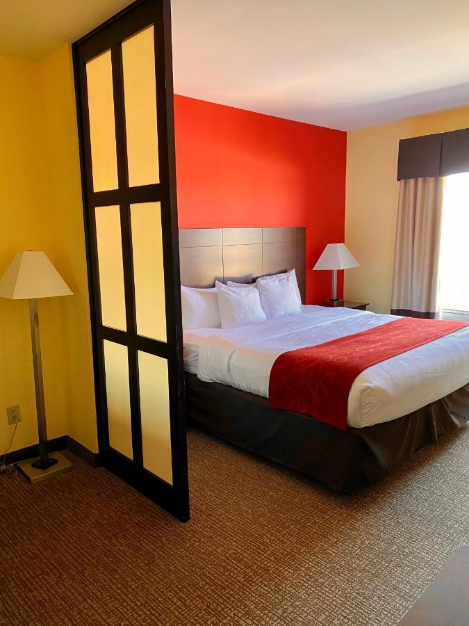 Comfort Suites Rock Hill Manchester Meadows Area Exterior photo